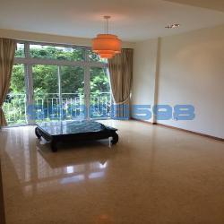 The Aston (D10), Apartment #45884762